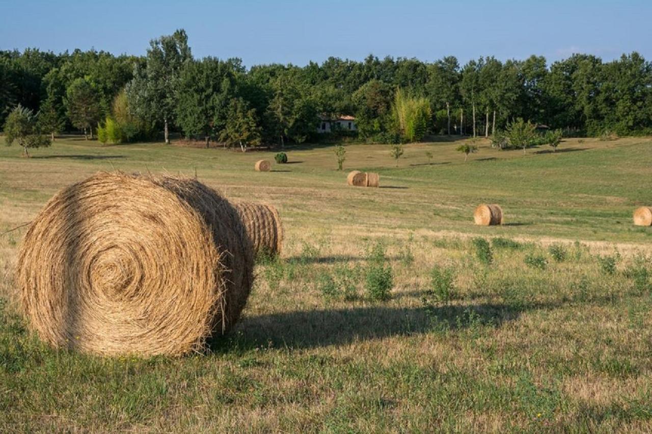 Gite Le P'Tit Bassoul Ouvert Toute L'Annee Cenevieres Exteriér fotografie